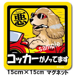 �y�b�g�@���傢���X�e�b�J�[�@�y�唻�}�O�l�b�g�^�C�v�@�A�����J���R�b�J�[�z�@������A��ăm���m���ŁA�h���C�u�ɂ��ł����`��