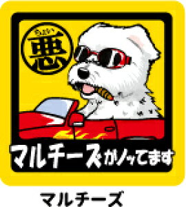 ybg@傢XebJ[@y唻}Olbg^Cv@}`[Yz@AămmŁAhCuɂł`