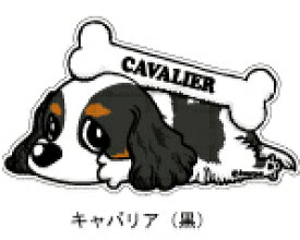 楽天市場 黒 適正犬種キャバリア その他 犬用品 ペット ペットグッズの通販
