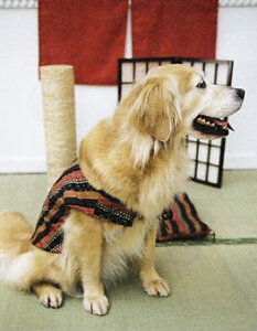 ybgEFA@y񂿂񂱁@^z@̑oEcĎȁEq@3@UyȂ錃ACe@EH