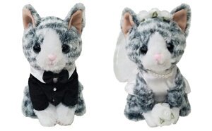 LG݁@EGfBOyEGJLbg@Togz@yAʂ݁@Ɂ@BE