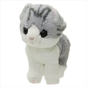 ʂ݁@yKitten Lg vbVh[S@XReBbVtH[h@O[z@ʂ