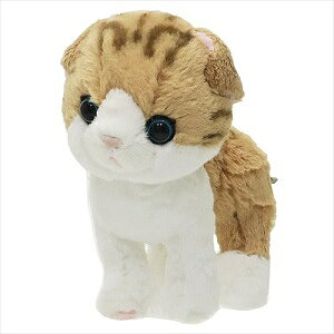 ʂ݁@yKitten Lg vbVh[S@XReBbVtH[h@uEz@ʂ