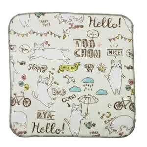 nh^I@yēc̏Zޓ킳ђ@^[`fCY@zCgzЖʃK[[@LG݁@BR