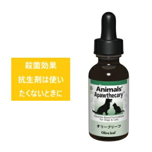 ybgTv@yAnimals' Apawthecary Aj}YApXL[ @I[u[t@1IXi29.5mljz@ybgpn[uTv@I[KjbN͔|̃n[uuh