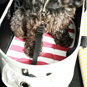 GAoM[pANZT[@yAir Buggy@h[p}bg DOME2 SM/DOME3 REGULARTCYz@GAoM[