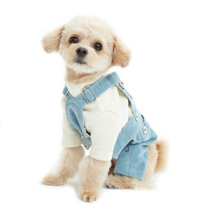 ybgEFA@yTINOTITO@R[fCTybg@u[zMELTCY@I[o[I[@CB