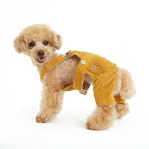 ybgEFA@yTINOTITO@R[fCTybg@CG[zXSESTCY@I[o[I[@CB