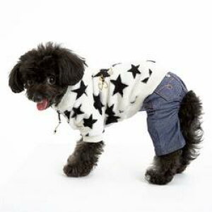 ybgEFA@yTINOTITO@t@[p[J[zXSESTCY@CB