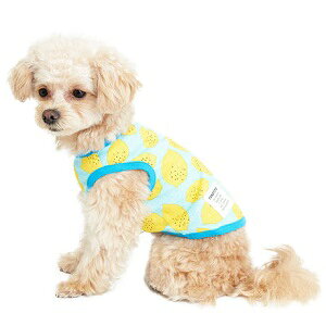 ybgEFA@yTINOTITO@^NgbvzMELTCY@CB