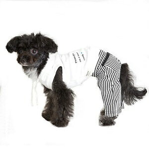 ybgEFA@yTINOTITO@|Pbgtm[X[up[J[zXSESTCY@CB