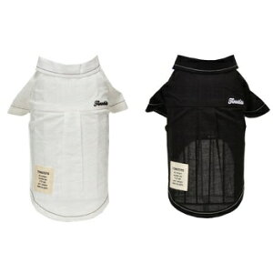 ybgEFA@yTINOTITO@{tXeb`VczXLEXXLTCY@CB