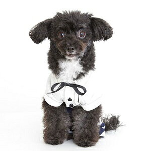 ybgEFA@yTINOTITO@{tXeb`VczXSESTCY@CB