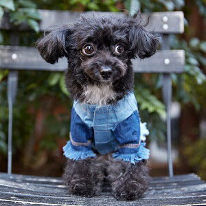 ybgEFA@yTINOTITO@fjtWgbvXzXSESTCY@CB