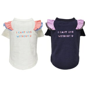 ybgEFA@yTINOTITO@btTVczXSESTCY@CB