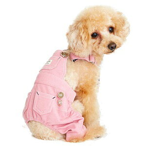 ybgEFA@yTINOTITOfjTybgzMELTCY