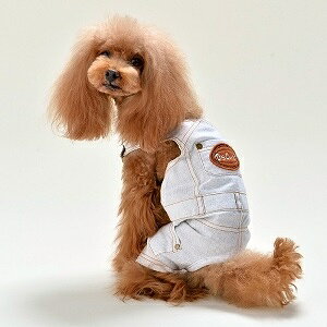 ybgEFA@yD's chat@byfjI[o[I[zXS`LTCY@DC18