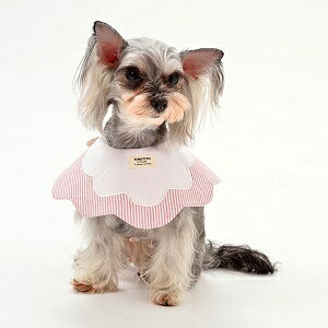 ybg@yTINOTITO@sX^CvX^C@sNzS`XLTCY@TT18