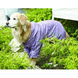 ybgEFA@^p@yCR[g@`FbNz@J̓UyȂ錃ACe@O[EsN2F@EH