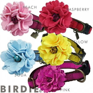 ^pց@yBIRDIE@_A̎ց@Mz@LLXtXL[@7J[őɂ