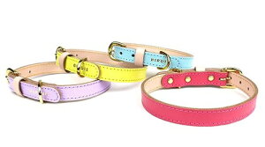 ^pց@yBIRDIE@{j[J[25z@21`25cm@}JJ[@4J[őɂ