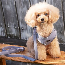 小型犬用リード　【Solgra　リード　ナチュラルニット　S～L】　キナリ・ベージュ・グレーの3カラー