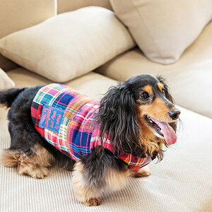 �y�b�g�E�F�A�@�yD's chat�@�u���b�N�`�F�b�N�x�X�g�zXL�EXXL�EDS�EDM�EDL�EFB�T�C�Y�@DC19AW