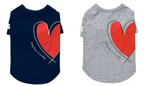 ybgEFA@yTINOTITO@n[gvgTVczMELTCY@TT20SS