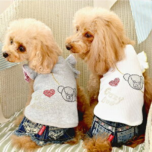 �y�b�g�E�F�A�@�yCRAZYBOO�@���t�����^���N�g�b�v�zXL�EXXL�EDS�EDM�T�C�Y�@CB20SS