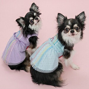 ybgEFA@yCRAZYBOO@C{[`[s[X@MELTCYz@CB23SS