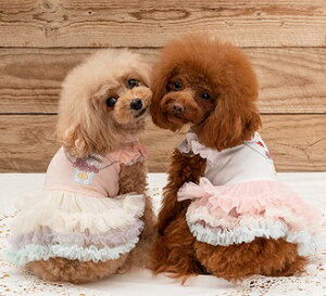 ybgEFA@yCRAZYBOO@XC[c`[s[X@XSESTCYz@CB23SS