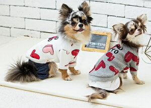 ybgEFA@yTINOTITO@n[gvgg[i[zXSESTCY@CB21AW