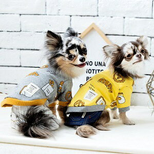 ybgEFA@yTINOTITO@pvgg[i[zMELTCY@CB21AW