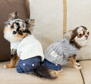 ybgEFA@yTINOTITO@|R|R҂݃jbgzMELTCY@CB21AW