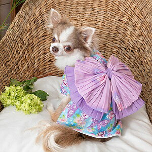 ybg@yCRAZYBOO@o^tCԕ߁zXSESTCY@CB23SS