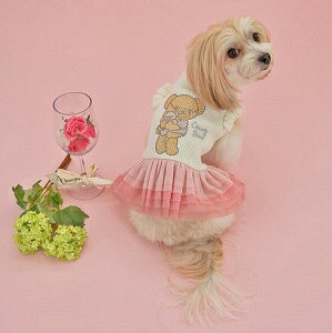 ybgEFA@yCRAZYBOO@t`[s[Xz@MELTCY@CB22AW