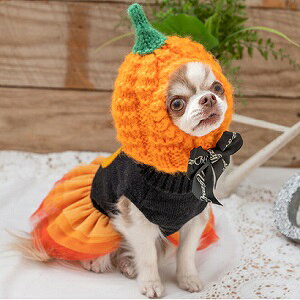 ybgEFA@yCRAZYBOO@nEB@҂݃jbgXq@ڂzS`LTCY@CB22AW