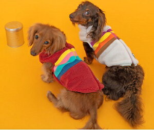 �y�b�g�E�F�A�@�yD's chat�@�w�J�{�[�_�[���������x�X�g�zM�EL�EDS�EDM�T�C�Y�@DC22AW