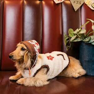 �y�b�g�E�F�A�@�yD's chat�@�A�V�������p�[�J�[�zM�EL�EDS�EDM�T�C�Y�@DC22AW