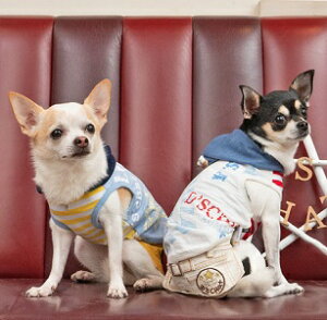 �y�b�g�E�F�A�@�yD's chat�@GO�T�}�[�v�����g�^���N�zXS�ES�EM�EL�EXL�EXXL�EDS�EDM�T�C�Y�@DC23SS