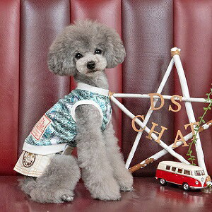 �y�b�g�E�F�A�@�yD's chat�@�}�l�[�����b�V���^���N�zXS�ES�EM�EL�EXL�EXXL�EDS�EDM�EDL�EFBM�T�C�Y�@DC