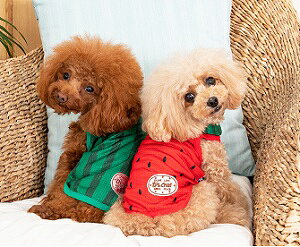 �y�b�g�E�F�A�@�yD's chat�@�X�C�J�ݕt�����b�V���^���N�zXS�ES�EM�EL�EXL�EXXL�EDS�EDM�EDL�EFBM�T�C�Y�@DC