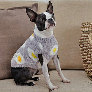 ybgEFA@yTINOTITO@ڋʏĂ}V}jbgzXLEXXLTCY@TT22AW