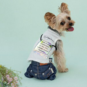 ybgEFA@yTINOTITO@LL|[`^NzXSESEMELEXLEXXLTCY@TT23SS