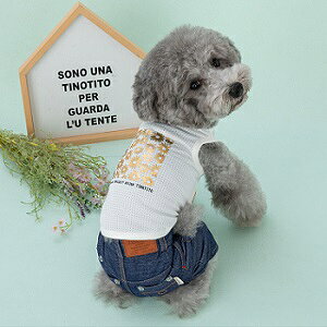 ybgEFA@yTINOTITO@COOL@LLvg^NzXSESEMELEXLEXXLTCY@TT23SS