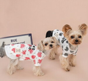 ybgEFA@yTINOTITO@n[gvgTVczXSESEMELEXLEXXLTCY@TT23SS