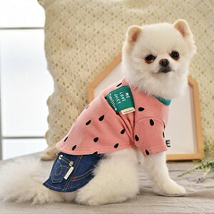 ybgEFA@yTINOTITO@t[cTVczXSESEMELEXLEXXLTCY@TT23SS