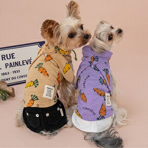 ybgEFA@yTINOTITO@ɂ񂶂vgp[J[zXSESEMELEXLEXXLTCY@TT23SS