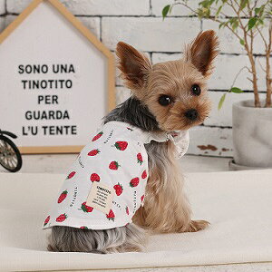 ybgEFA@yTINOTITO@C`SvgL~\[zXSESEMELEXLEXXLTCY@TT23SS