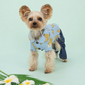 ybgEFA@yTINOTITO@oiivgVczXSESEMELEXLEXXLTCY@TT23SS